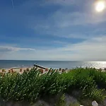 Lachmöwe * Fehmarn