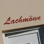 Lachmöwe