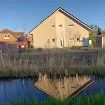 Lachmöwe