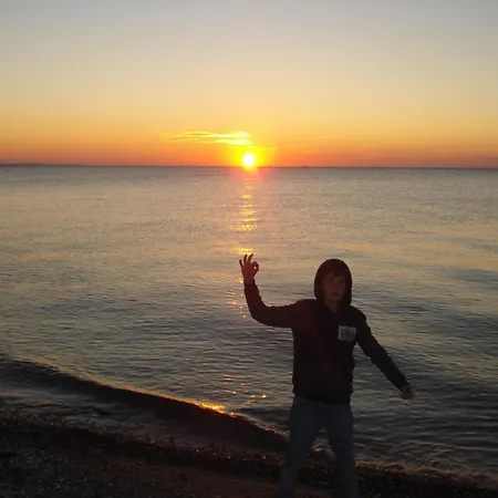 Lachmoewe * Fehmarn