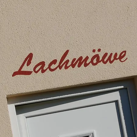 Lachmoewe