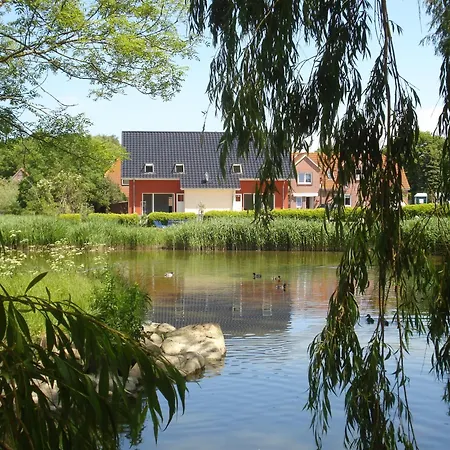 Lachmoewe * فيهمارن