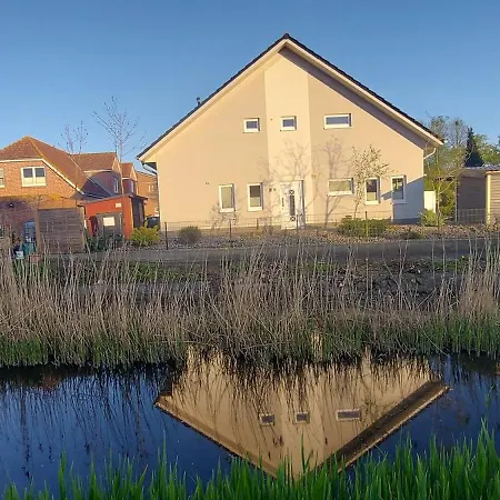 Lachmoewe
