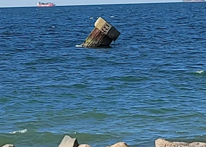 Lachmoewe * Fehmarn