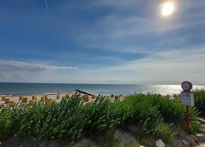 Lachmoewe * Fehmarn