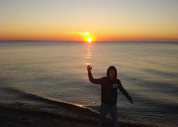 Lachmoewe * Fehmarn