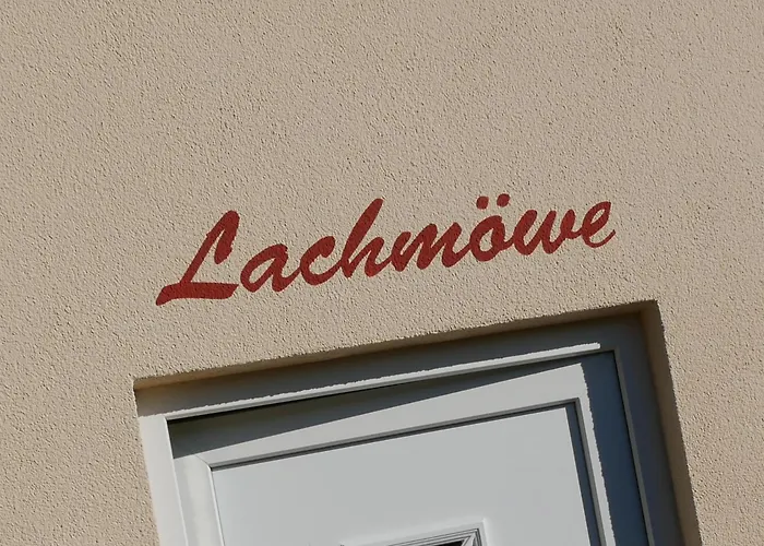 Lachmoewe