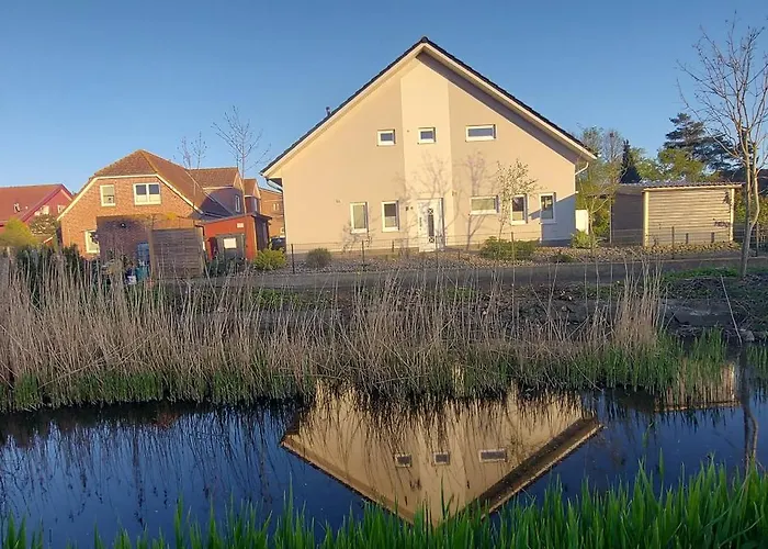 Lachmoewe